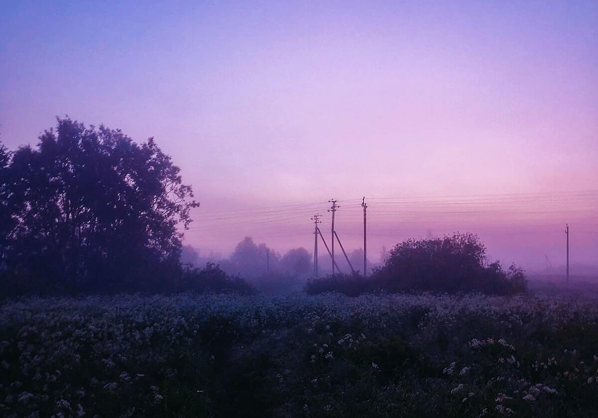 开云体育-怀特塞德对阵广东个人集锦回顾，全场得到28分13篮板